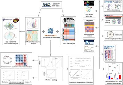 Identification of key genes and diagnostic model associated with circadian rhythms and Parkinson’s disease by bioinformatics analysis